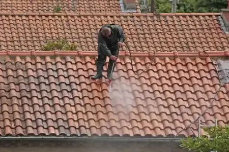 Nettoyage et démoussage de toiture en Gironde en Gironde